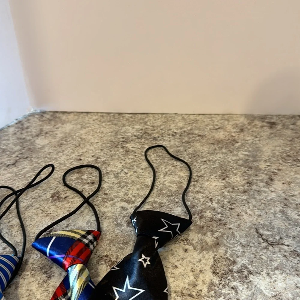 NWOT 10 inch unisex ties set of 4. Attached elastic cord goes under the collar